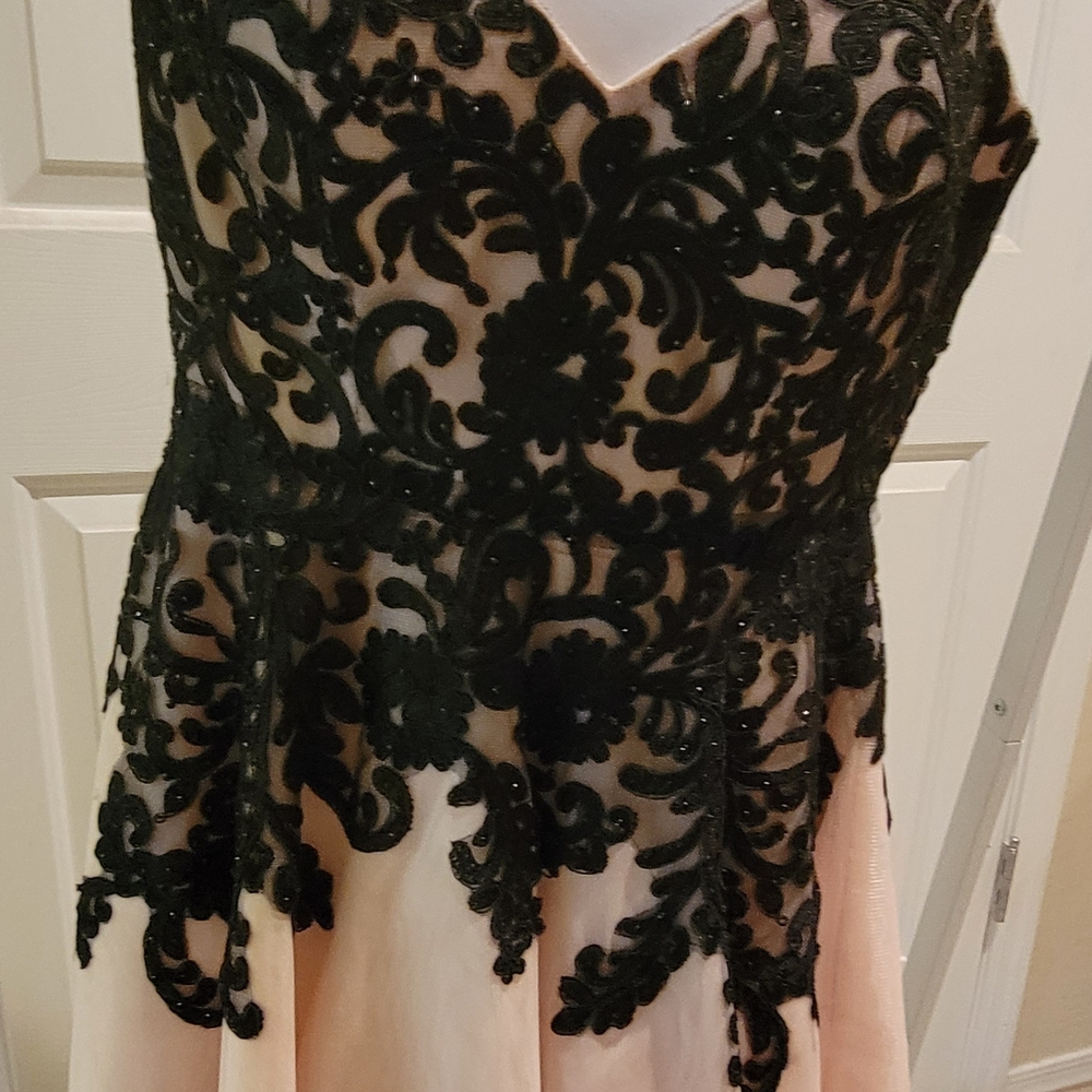 Elegant Black Lace Overlay Dress